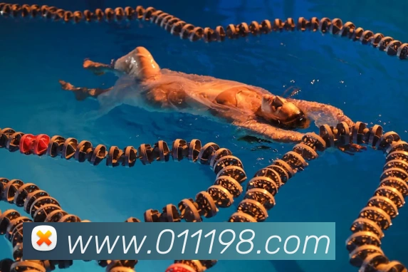 500万彩票网APP 高清赛事图